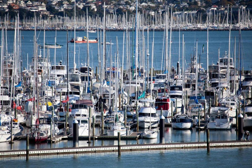 Vr Takapuna Auckland Exterior foto The marina at Shelter Cove